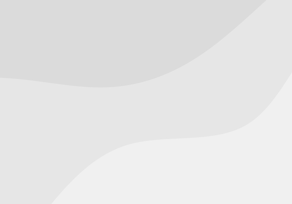 Expand Your Franchise in Europe with FMS Europe 2 noimage